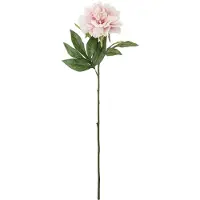 Bloomingville Pionstjälk, rosa, Konstgjorda blommor