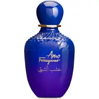 Salvatore Ferragamo Amo Ferragamo Oriental Wood Eau de Parfum 100 ml