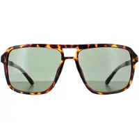 GUESS Aviator Unisex Mörk Havanna Grön GF5085