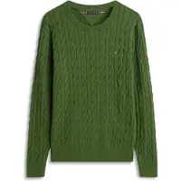 Tommy Hilfiger Tröja 'Classic' marinblå / grön / röd / vit