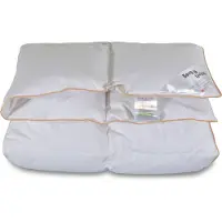 Borg Living Dubbeltäcke 200x200 cm - 100% myskdun helårs - täcke