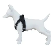 Freedog Soft Hundsele