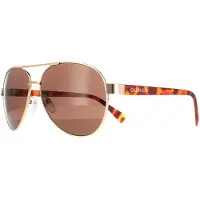 Calvin Klein Aviator herr guld brun CK19316S