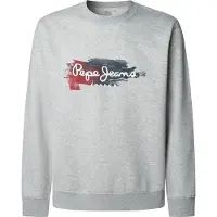 Pepe Jeans för män. PM5800026 Sweatshirt Trey grå (M), Casual, Bomull