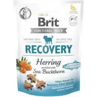 Brit Återhämtningssnack Med Sill För Vuxna Hundar 10x150g