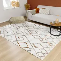 FRAAI Fluffig matta | Blend Diamond terrakotta hos Volero | 160x230 cm | Polypropen | Asymmetrisk | Rektangulär | Hög lugg