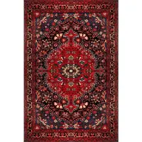 BC-Warm Home Röd Blå Områdesmatta Matta Maskintvättbar Matta Vardagsrum Vintage Stil Klassisk Orientalisk Traditionell Persisk Marockansk Boho Mattor 50x80cm-20x31in