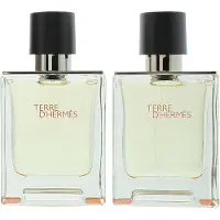Hermès Paris Terre 100ml Eau De Toilette