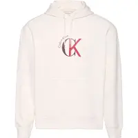 Calvin Klein Jeans Eu 350 Terry Graphic Huvtröja