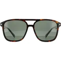 Polaroid Aviator Herr Dark Havana Green Polarized