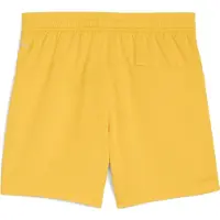 Puma Bvb Borussia Dortmund 25/26 Replica Junior-shorts