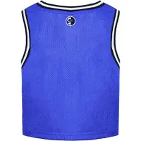 Nike Loose Fit Jersey Ärmlös Sisterhood Dam Crop Top CU6786 405