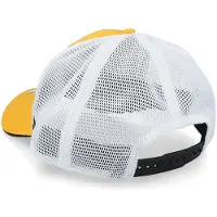 Fanatics Branded NHL Boston Bruins keps