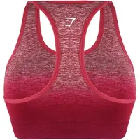 Gymshark Seamless Womens Ombre Burgundy Sport-BH