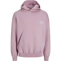 Jack & Jones Santorini Graphic Tröja Med Huva