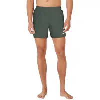 Nike 5" Volley Boardshorts fir, S