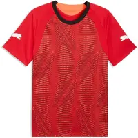 Puma Individualfinal T-shirt Med Korta ärmar