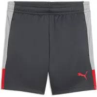 Puma Individualliga Football Training Shorts Youth, storlek YXS/116 cm