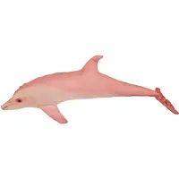 Energoteam Dolphin Kudde