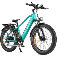 KUKIRIN Vélo électrique ENGWE E26 - Autonomie 140 kilomètres - Moteur 250 W - Batterie 48 V 16 Ah - Vert grön
