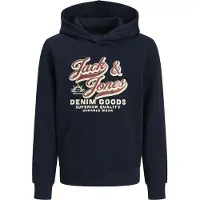 Jack & Jones Junior Sweatshirt ecru / nattblå / brun