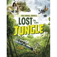 Lost in the Jungle