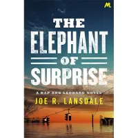 The Elephant of Surprise