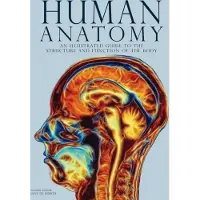 Human Anatomy