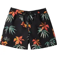 Quiksilver Mix Volley 15´´ Simshorts
