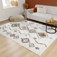 FRAAI Fluffig matta | Blend Aztec terrakotta hos Volero | 120x170 cm | Polypropen | Sicksack | Rektangulär | Hög lugg