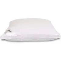 Zen Sleep Dunfiberkudde - Allergivänlig huvudkudde - 60x63 cm - Mellan -