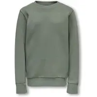 Only & Sons Junior Sweatshirt 'OSJCeres' ljusgrön