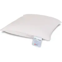 Zen Sleep Junior dunkudde - 40x45 cm - barnkudde - myskdun -