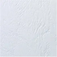 GBC LeatherGrain - A5 (148 x 210 mm) - 200 mikrometer - vit - 250 g/m² - 50 stk bindningsskydd