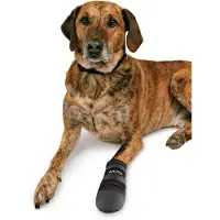 Trixie hundstövlar Walker 2 st XXXL