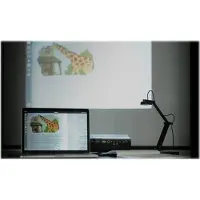 Ipevo V4K - Digital dokumentkamera - färg - 8 MP - 3264 x 2448 - ljud - USB 2.0