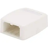 Panduit MINI-COM - Ytmonteringsbox för nätverk - arctic white - 2 portar