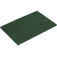 Multi Skursvamp i nylon för hand 16x21 cm grön, 10 pk x 10 st/krt