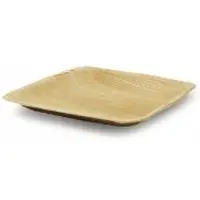 Multi Tallrik/fat 15x15 cm fyrkantigt palmblad, 25 st