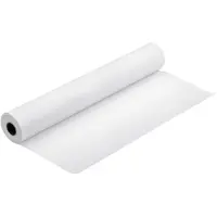 Epson Premium Semimatte Photo Paper (260) - Halvmatt - Rulle (111,8 cm x 30,5 m) 1 rulle (rullar) fotopapper - för Stylus Pro 11880, Pro 98XX; Sure...