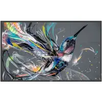 Philips 75BDL3650Q - 75 Diagonal klass (74.5 visbar) - Q-Line LED-bakgrundsbelyst LCD-skärm - digital skyltning - 4K UHD (2160p) 3840 x 2160 - Direct LED