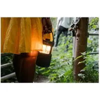 Pure Woodland Glow Bluetooth-högtalare