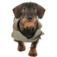 Trixie Hermy Hundjacka