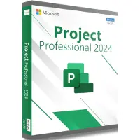 Microsoft Project 2024 Professional (PC)