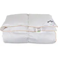 Borg Living Gåsdunsdyne - Vintertäcke i 100% dun - 200x200 cm -