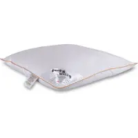 Borg Living Låg gåsduns huvudkudde - Huvudkudde med gåsdun - 60x63 cm - 3-kammars kudde -