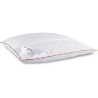Borg Living Huvudkudde - Mellan 4-kammars myskdunskudde - 60x63 cm -