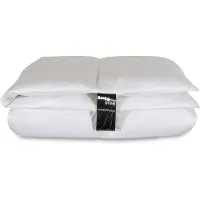 Borg Myskdunstäcke - Helårstäcke - Favoriten - 150x210 cm - Bästa duntäcket med myskdun