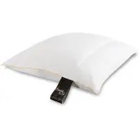 ByBorg Huvudkudde med myskdun - 4-kammare - 60x63 cm -