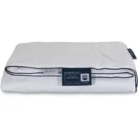 Nordic comfort Svalt sommar dubbeltäcke - silketäcke med 100% mulberrysilke - 200x220 cm - -täcke